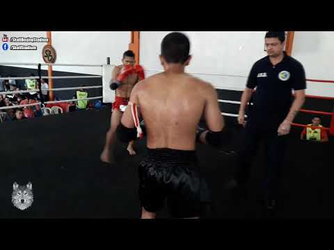 Beginner III - Eduardo Carvalho (Dragon Thai) Vs Maicon Tobias (GuaruFight) | 63,5 Kg