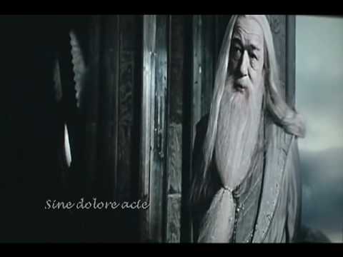 In noctem - Dumbledore's Tribute
