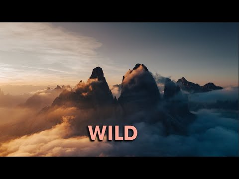 Tiguan Jones / Huxley Ware / Midnight Swami -  Wild