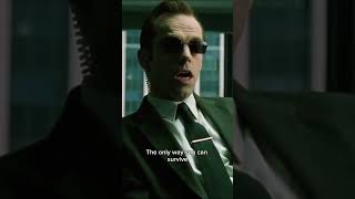 Download lagu Agent Smith's Disturbing Revelation | The Matrix #scene #morpheus #matrix mp3