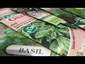 Different varieties of basil