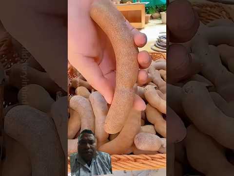 #facts #food #amazingfacts #life #hindi #farming #ytshorts #flowers #trending