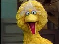 Sesame Street Show 1902 Big Bird Trains Barkley To Count To 6 1984