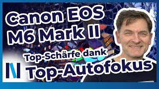 Canon EOS M6 Mark II - Autofokus: So bringst Du die richtige Schärfe selbst in bewegte Motive!