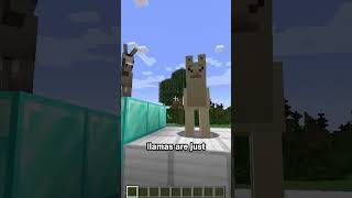 Llamas are actually useful