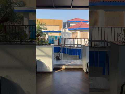 🫣😱Jayshree Ram  🙏🏻🥺🥰 #i #like #dog #love #food #travel #beach #doglovers #funny #petlover ￼