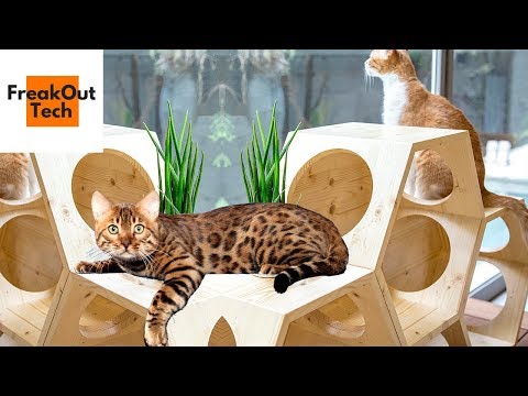 5 Incredible Gifts Your Cat Will Love Video