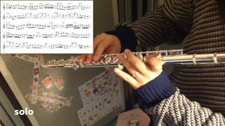 beautiful love - jazz flute / standards