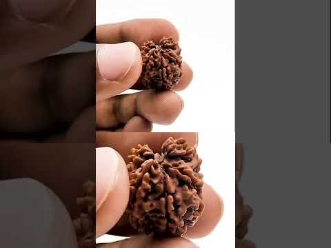 Vasuki Nagdevta Naagraj Lord Shiva Divine Rare Rudraksha video