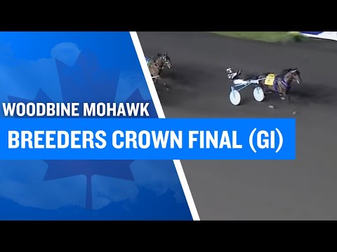 Undefeated BEAU JANGLES Wins the Breeders Crown