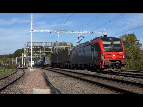 Zug in Effingen Transit