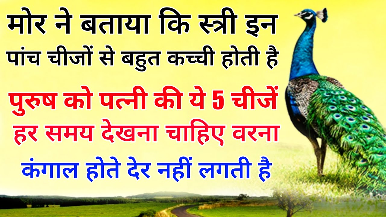 मोर ने बताया कि स्त्री इन 5 चीजों से बहुत कच्ची होती है कौन सी पांच चीजों पुरुष को अपनी पत्नी की देख