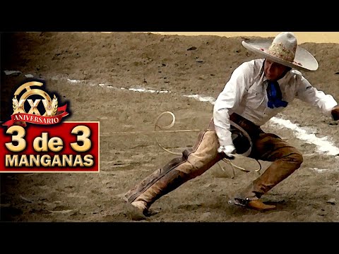 All Horses Maquina 501 - 3 de 3 Manganas a Pie - 2022 Campeonato Millonario THV