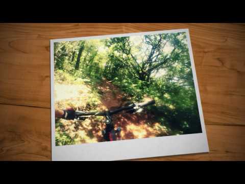 Erika Gramiscelli em ação