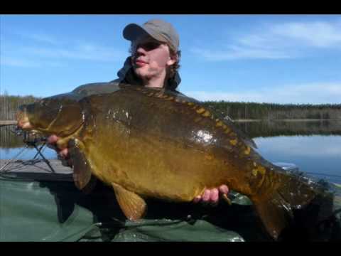 Tuszynek dziewicza zasiadka - Carp Team Trójmiasto