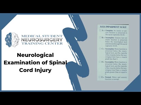 Neurological Examination of Spinal Cord Injury