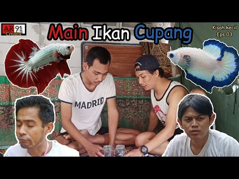 main-ikan-cupang-komedi-lucu-kisah-kecil-eps-3