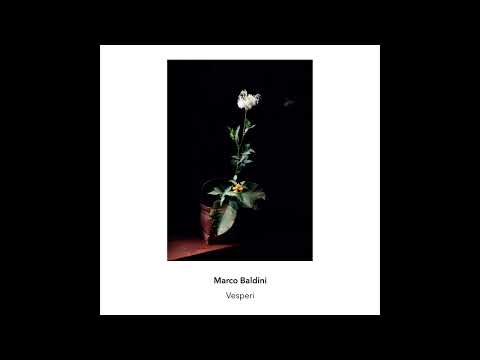 Marco Baldini 'Corteccia'