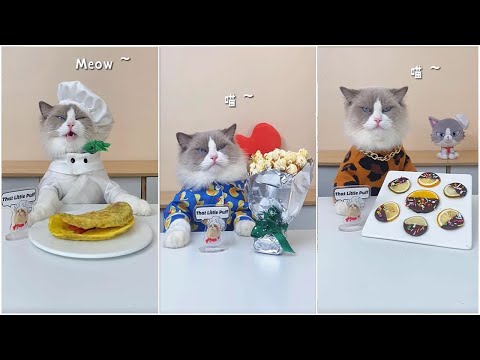 Cats make food 2022 