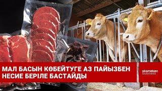 Мал басын көбейтуге аз пайызбен несие беріле бастайды