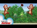 Goofy S Missing Shoe Chip N Dale S Nutty Tales Disney Junior