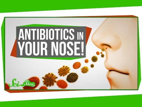Antibiotics In Your Nose!