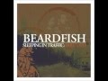 Beardfish - Sleeping in Traffic: Pt. 2 [FULL ALBUM - progressive rock]