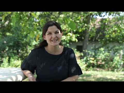 Hol terem az Ormánság bora?