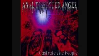 Anal Dissected Angel - A Fit Of Madness