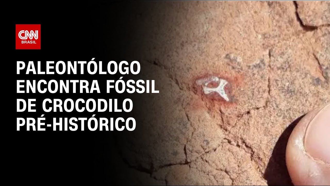 Paleontólogo encontra fóssil de crocodilo pré-histórico | AGORA CNN