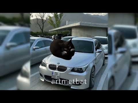 Raffaella Carrà - Pedro (Jaxomy & Agatino Romero Remix) TikTok