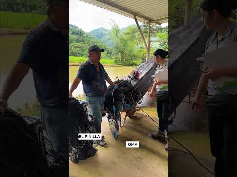 Santa María vibra con fuerza comunitaria