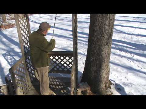 Look, Hold & Break Points for Sporting Clays - Shotgunning Tip