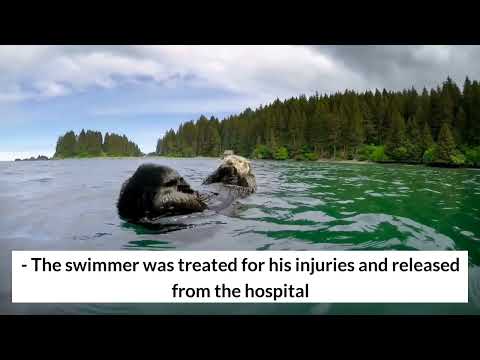 Otters bite swimmer 12 times in Californias Serenes Lake