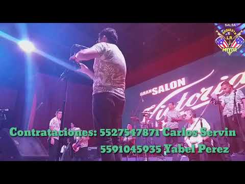 Orquesta La Mayor de México-Caricias Prohibidas (COVER)