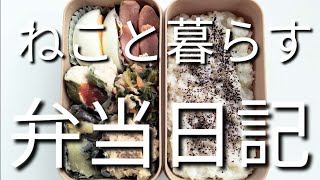 ねこと暮らす前日作り置き弁当日記です
