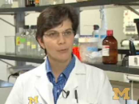 Krebsstammzellen unterscheiden sich zwischen den verschiedenen Krebstumorarten