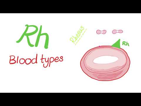 Rh “Rhesus” Blood Types - Are you positive or negative?! - Hematology