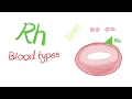 Rh “Rhesus” Blood Types...Are you positive or negative?!