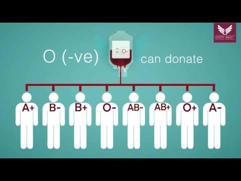 Blood Donation Guide