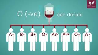 Blood Donation Guide