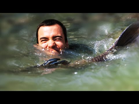 The year it all changed...