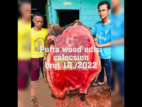 esotis Wood indonesia