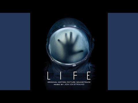 I Thought They Came to Rescue Us