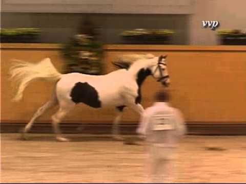 TE Pharenheit VZAP 2014