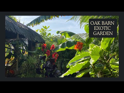 A walking Talking Tour of the Mesmerizing Oak Barn Exotic Garden.