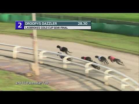2021 LADBROKES GOLD CUP - 1ST SEMI - T2 DROOPYS DAZZLER