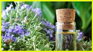 Rosmarin in Hausmitteln zur Verbesserung der Durchblutung