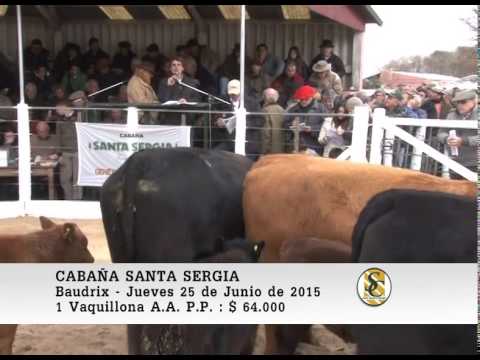 25-06-15 Venta de Vaquillonas P.P. - Santa Sergia - Baudrix
