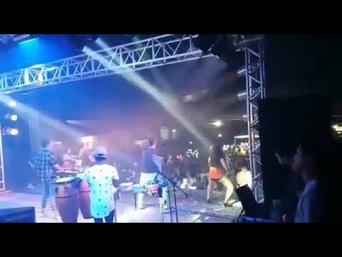 Chacal rei da pizada